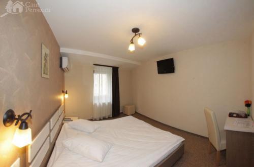 Pension Cleopatra Тыргу-Муреш Экстерьер фото